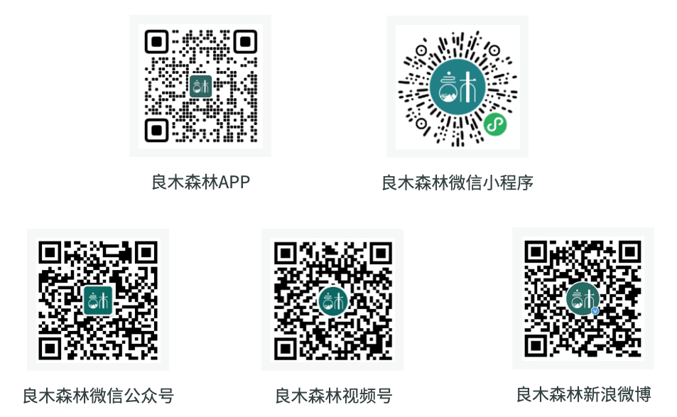 3bb32cefc54febcaf5e677b3d78721e2.png