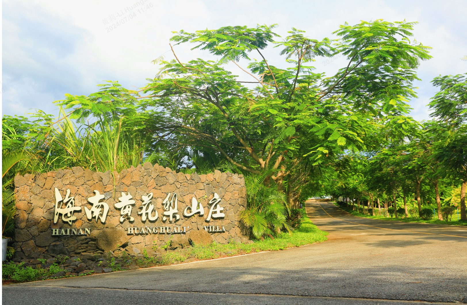 良木森林-珍贵林木官方交易平台