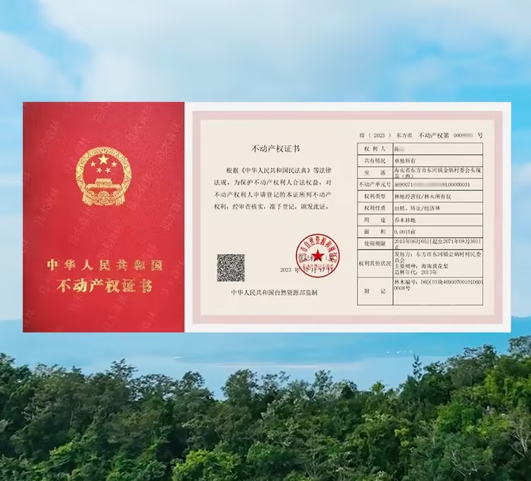 良木森林-珍贵林木官方交易平台