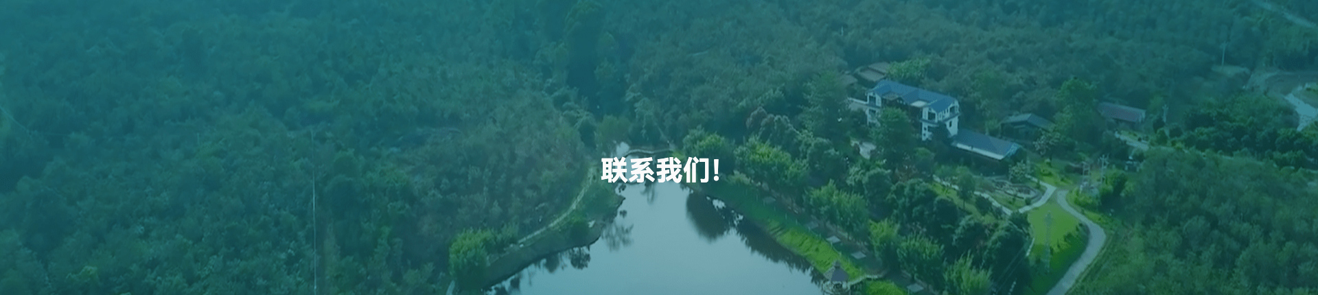 良木森林-珍贵林木官方交易平台