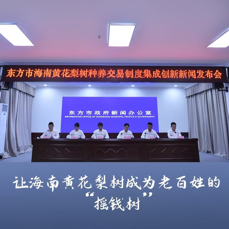 良木森林-珍贵林木官方交易平台