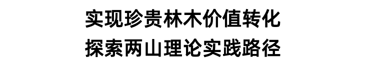 73a77362fe48ea3a1f3336528350adb6.png