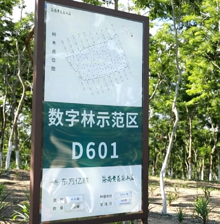 良木森林-珍贵林木官方交易平台