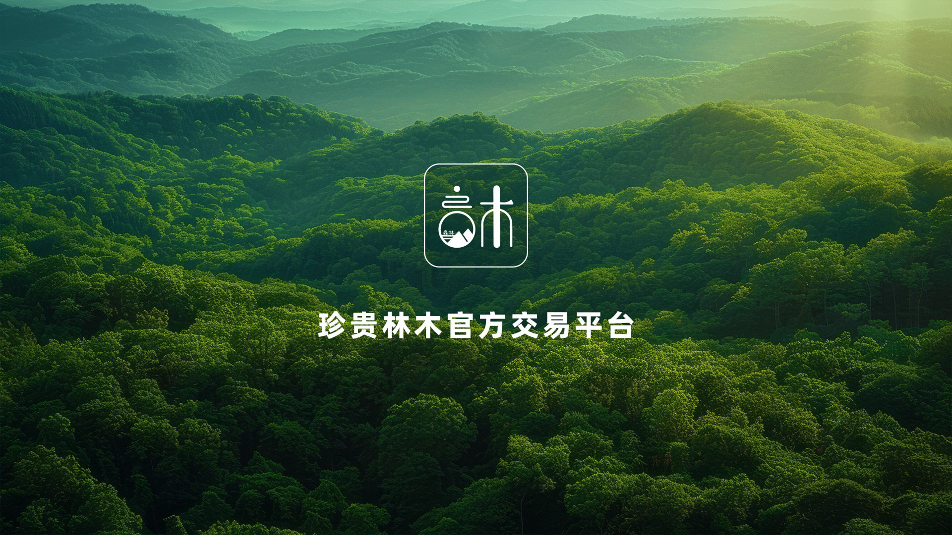 良木森林-珍贵林木官方交易平台