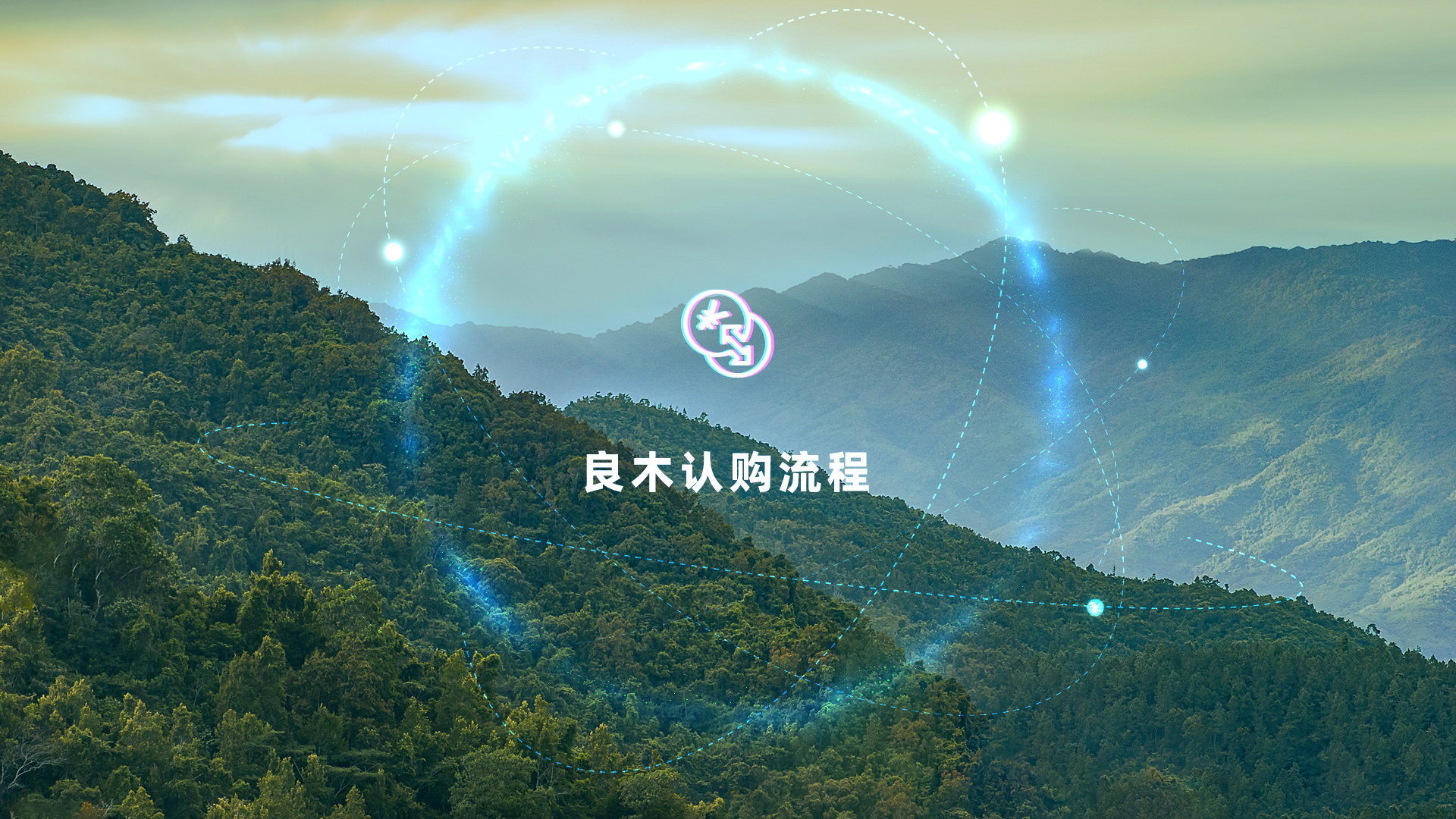 良木森林-珍贵林木官方交易平台